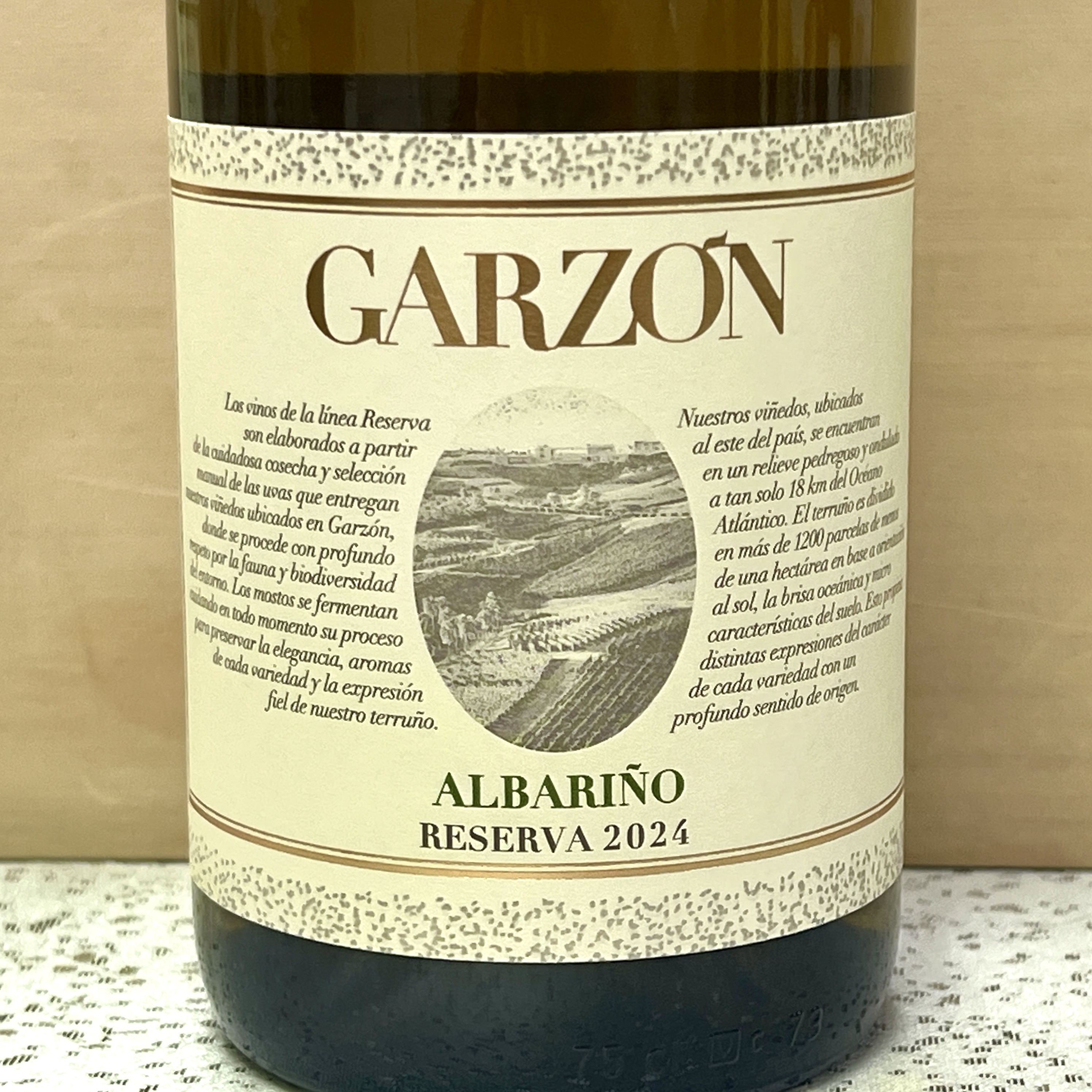 Bodegas Garzon Albarino Reserva 2024